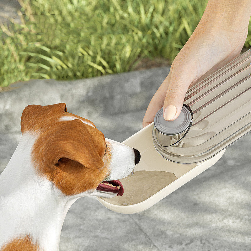 Dog drinking from a portable water bowl held by a person outdoors.